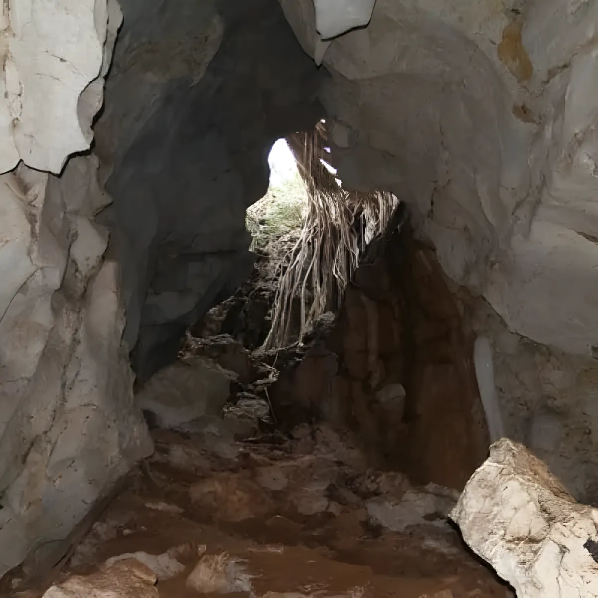 Khao Praya Phai Ruea