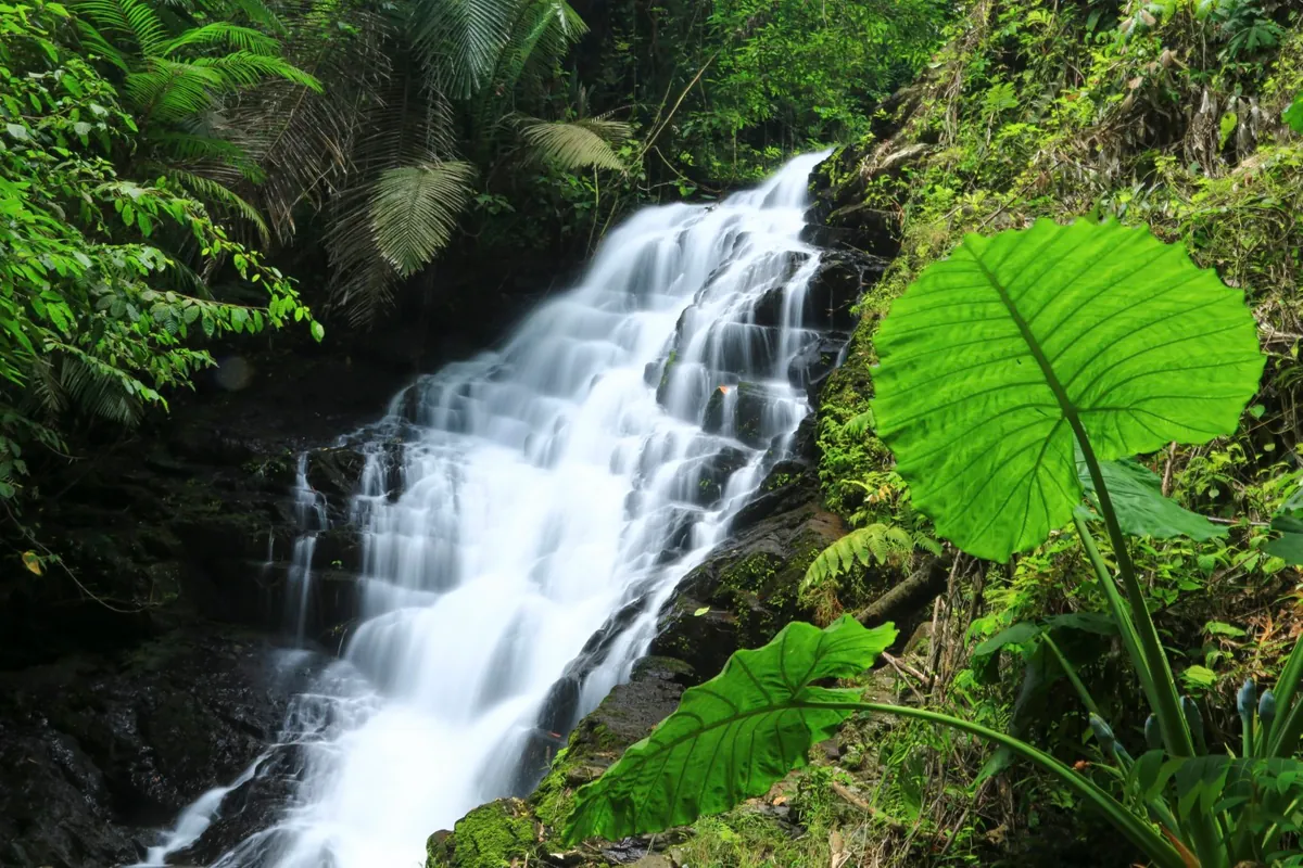 Khao Sip Ha Chan National Park