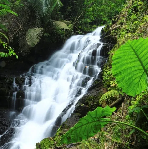 Khao Sip Ha Chan National Park