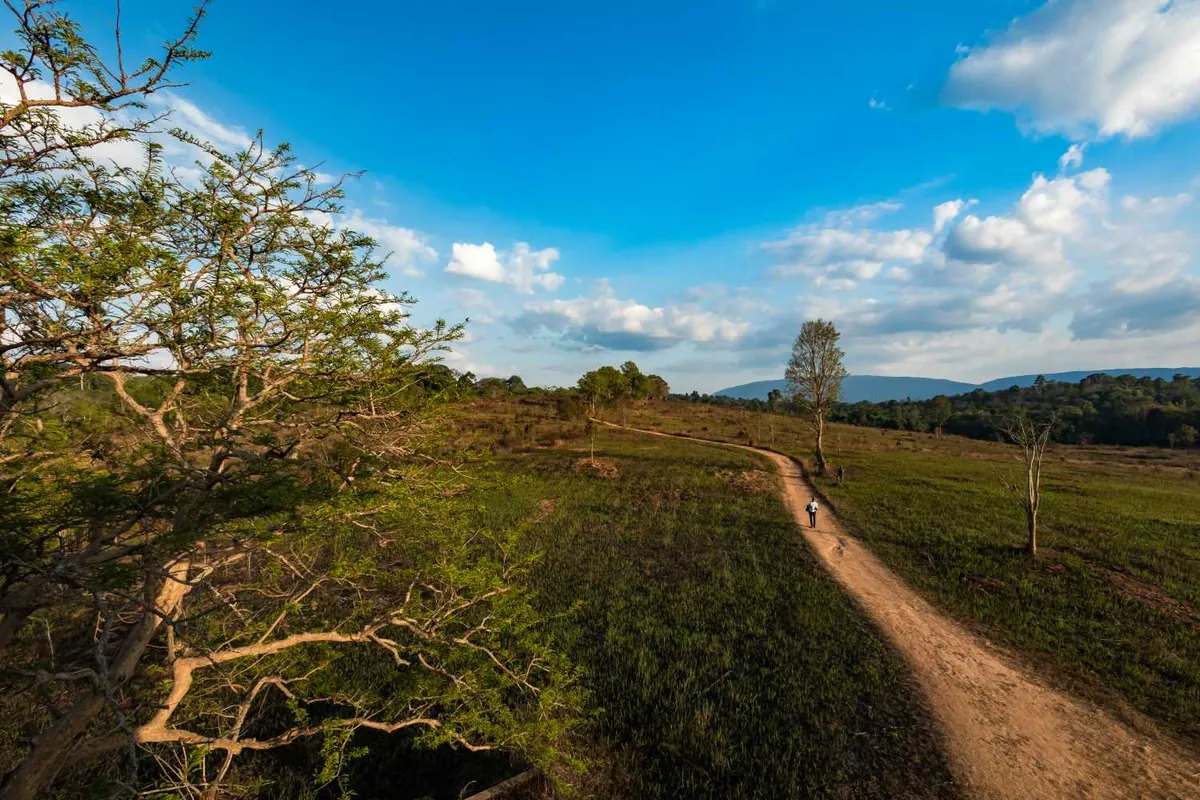 Khao Yai National Park — photo 2