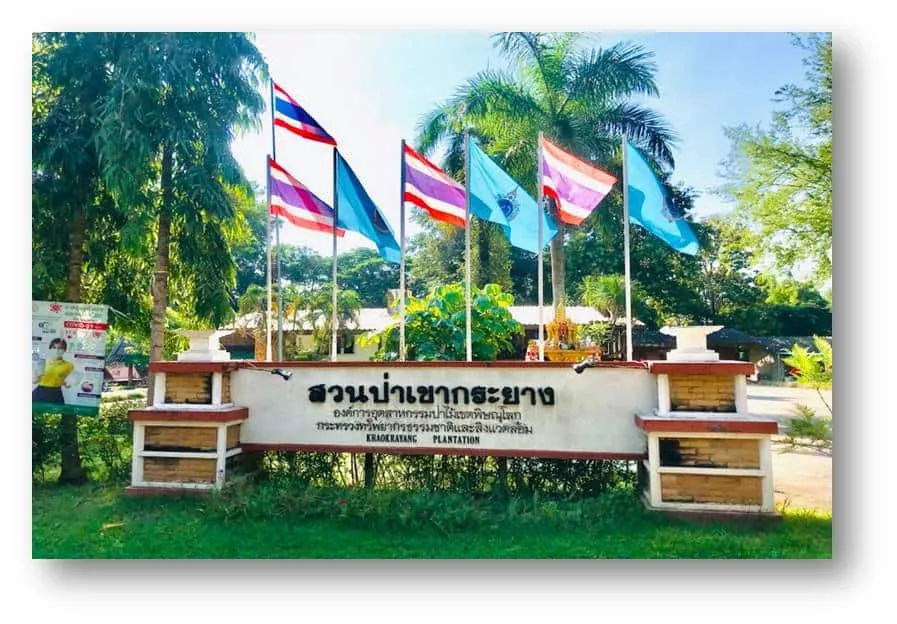 Khaokrayang Plantation