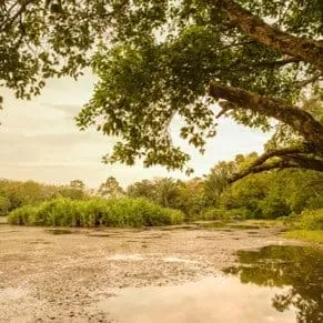 Khlong Lam Chan Non-Hunting Area