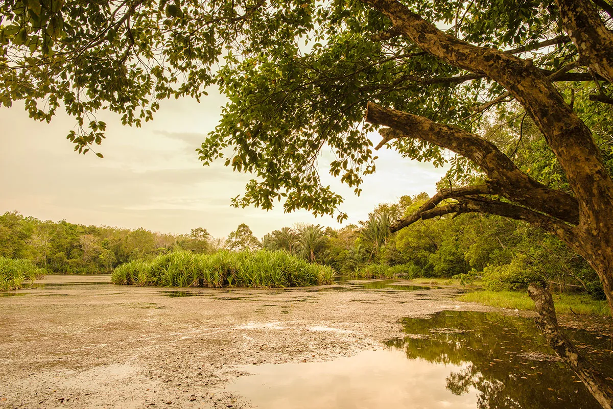 Khlong Lam Chan Non-Hunting Area