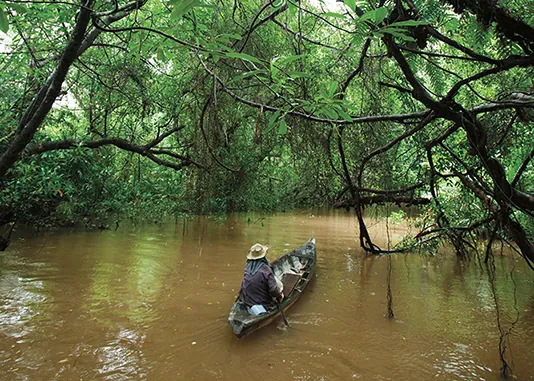Khlong Sangne (Little Amazon) — photo 2