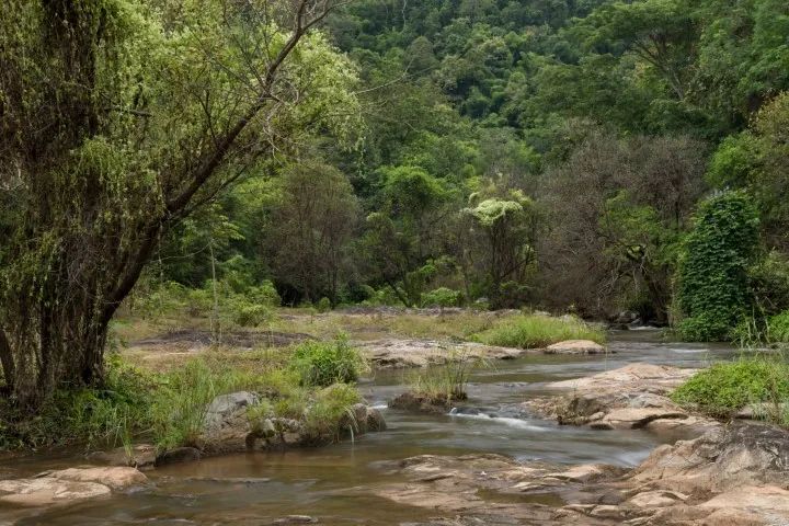 Khlong Wang Chao National Park — photo 3