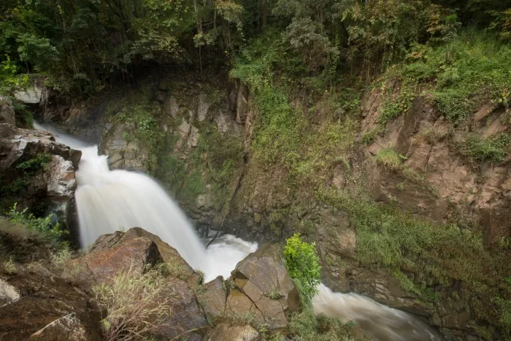Khlong Wang Chao National Park — photo 2