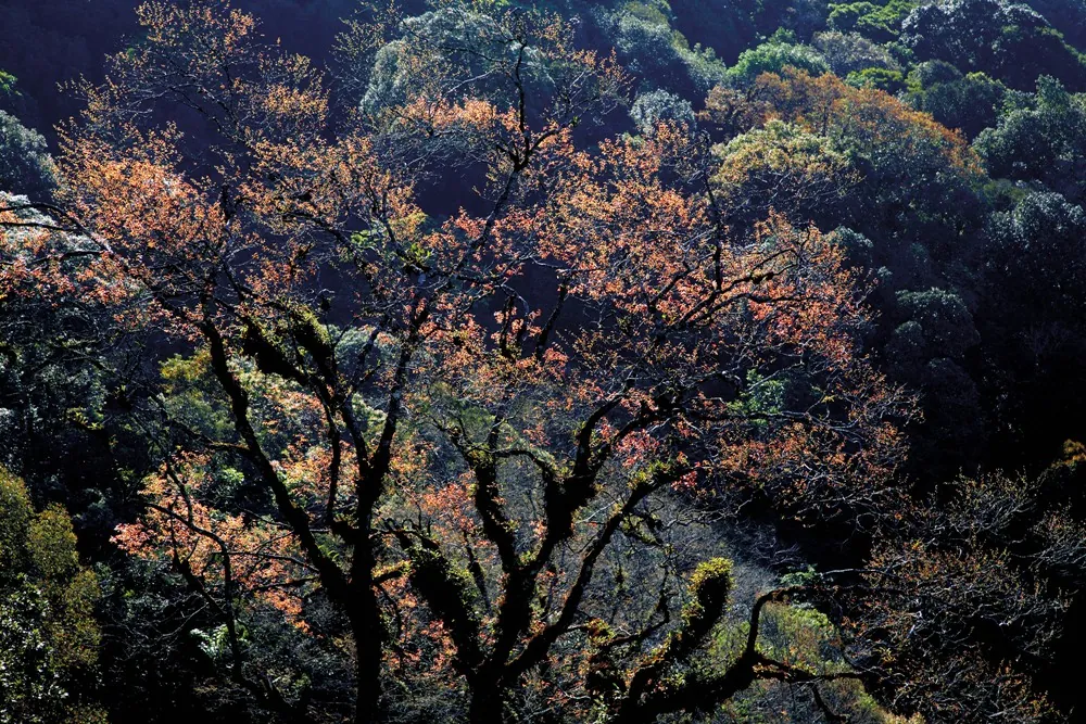 Khun Chae National Park — photo 4