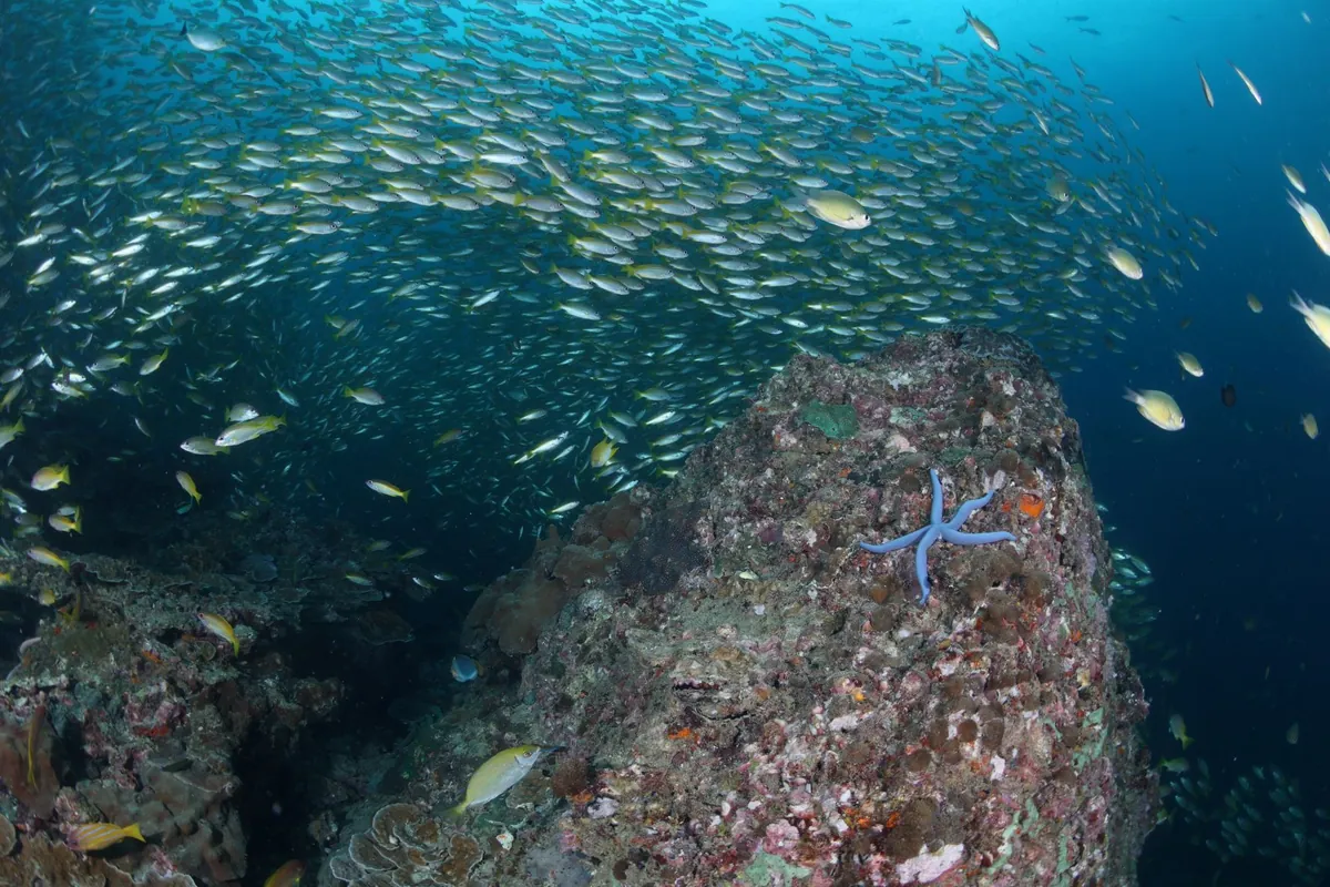 Koh Bi Da Nok — photo 2