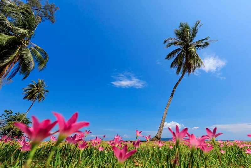 Koh Kradat