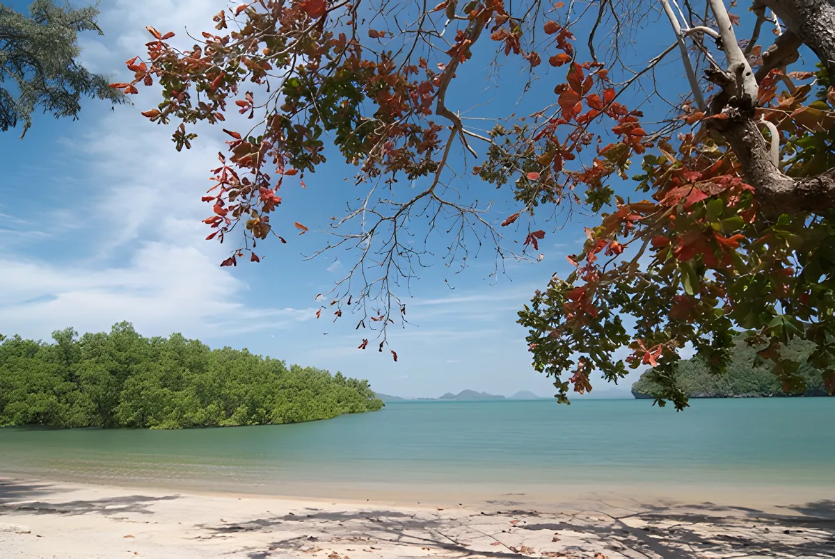 Koh Lidi Lek