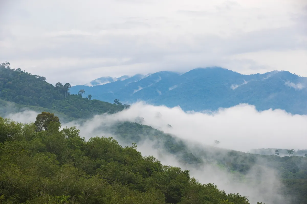 Krung Ching Sea Of Fog — photo 2
