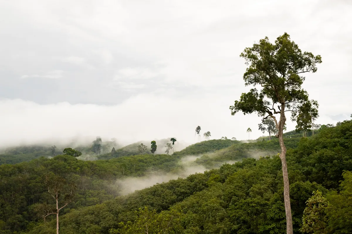 Krung Ching Sea Of Fog — photo 3