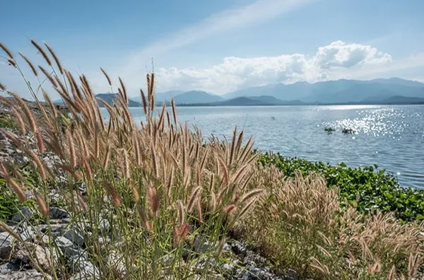 Thap Salao Dam — photo 3