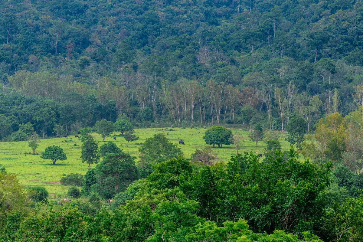 Kui Buri National Park — photo 3