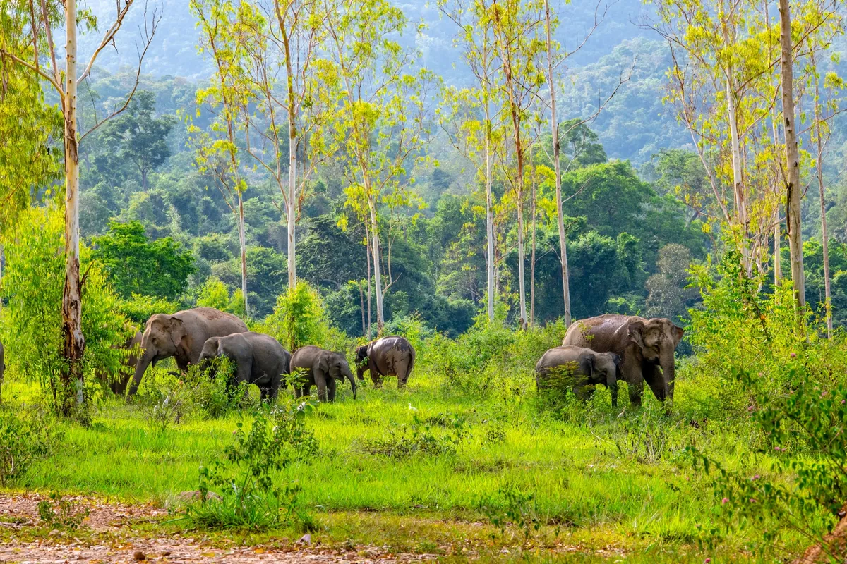 Kui Buri National Park — photo 5
