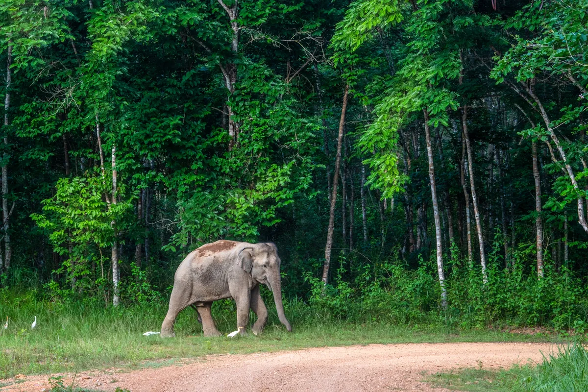 Kui Buri National Park — photo 4