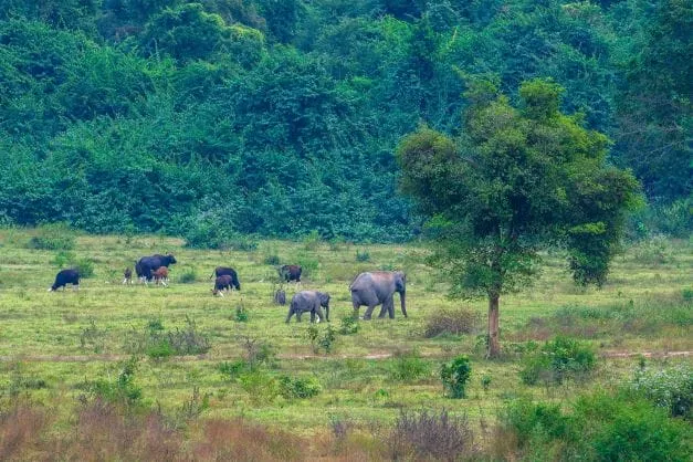 Kui Buri National Park