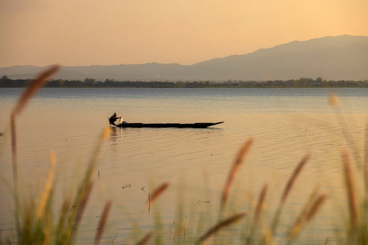 Kwan Phayao (Phayao Lake) — photo 5