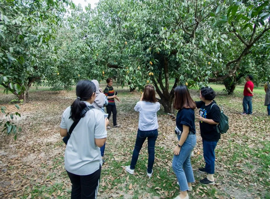 La Ong Fa Farm — photo 2
