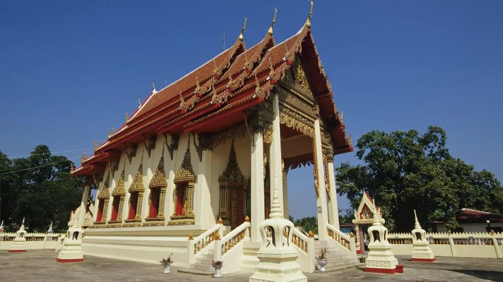 Lyle’s Flying Foxes at Wat Chantaram — photo 2
