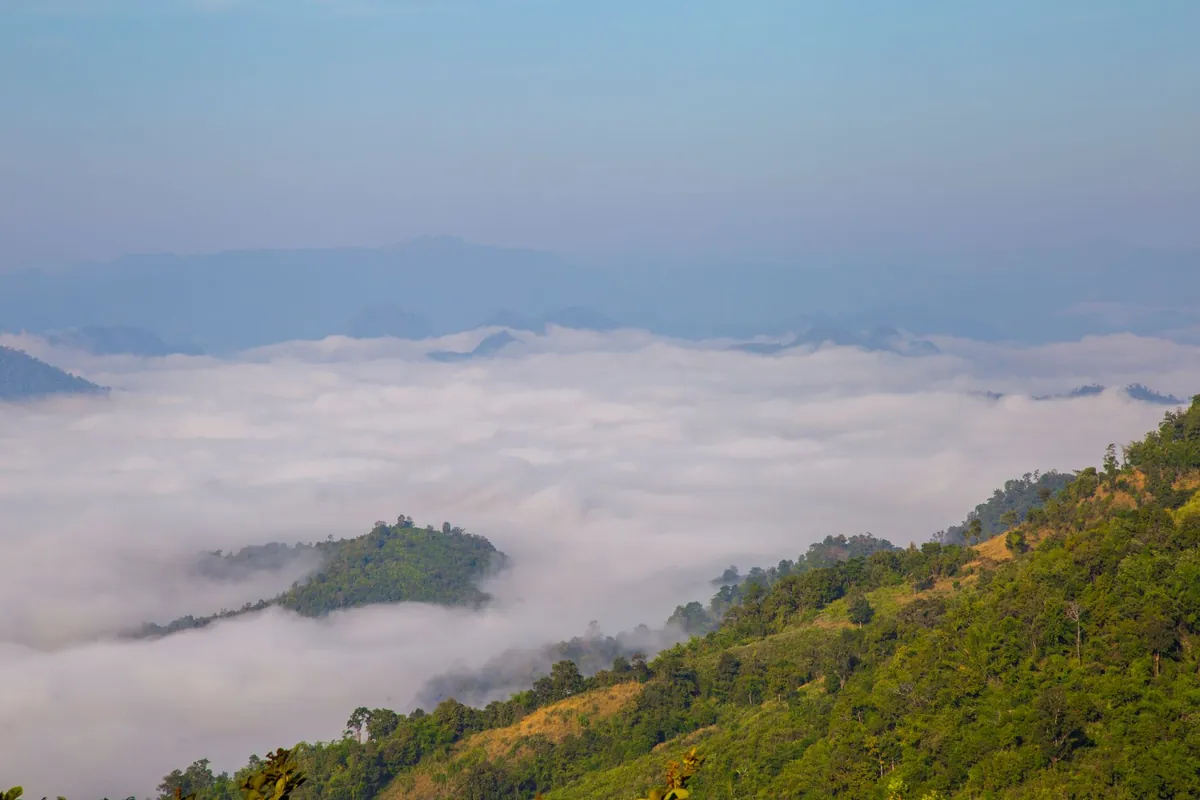 Mae Moei National Park — photo 3