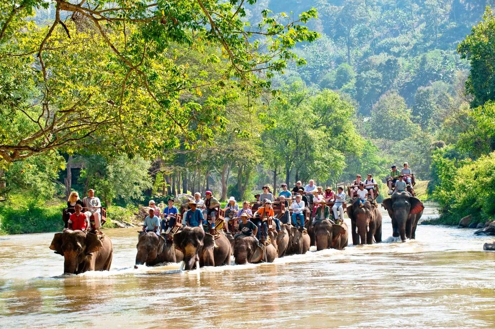 Mae Taeng Elephant Camp — photo 2