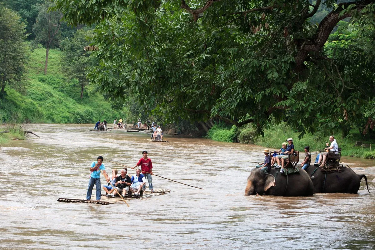 Mae Taeng Elephant Camp — photo 3