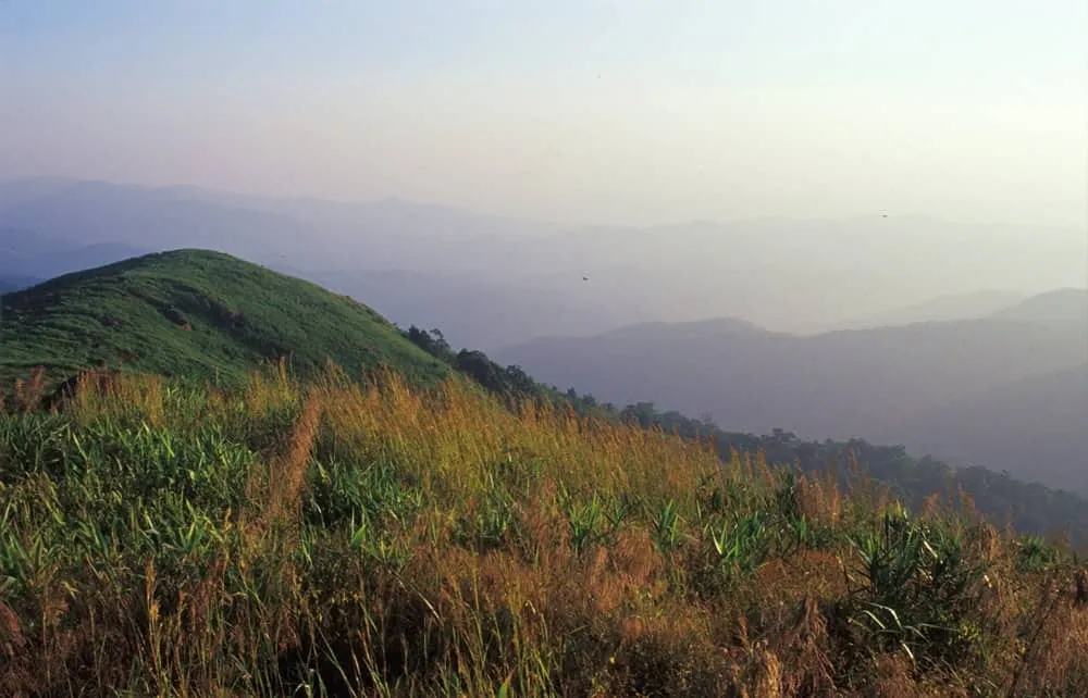 Mae Tuen Wildlife Sanctuary