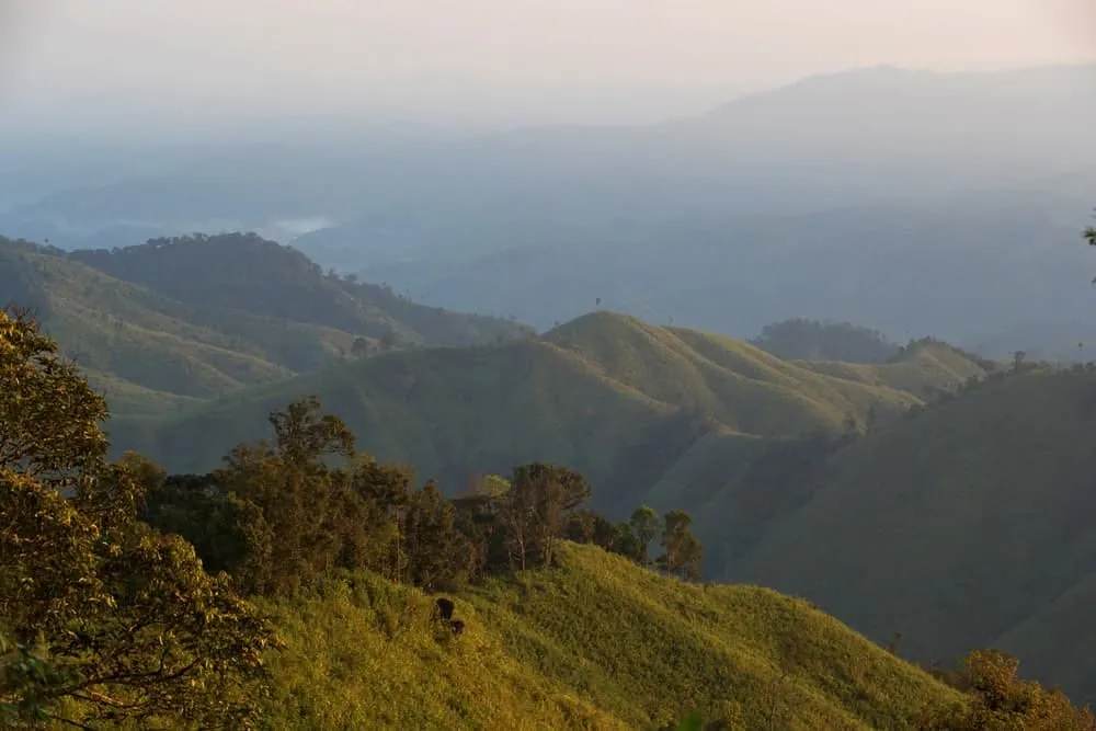 Mae Wong National Park