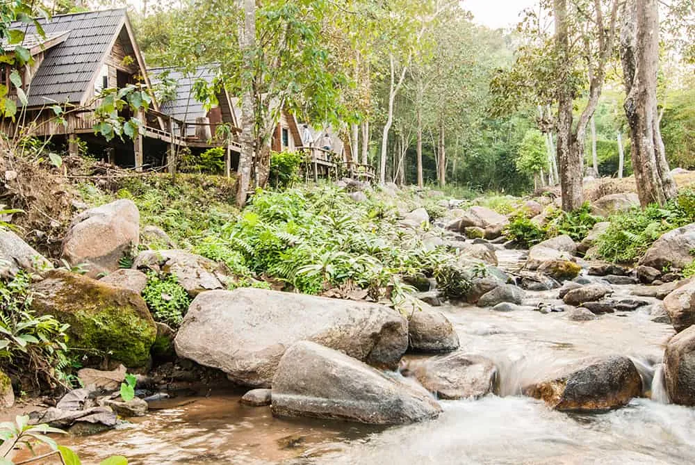 Mae Yao- Mae Sai Woodlot