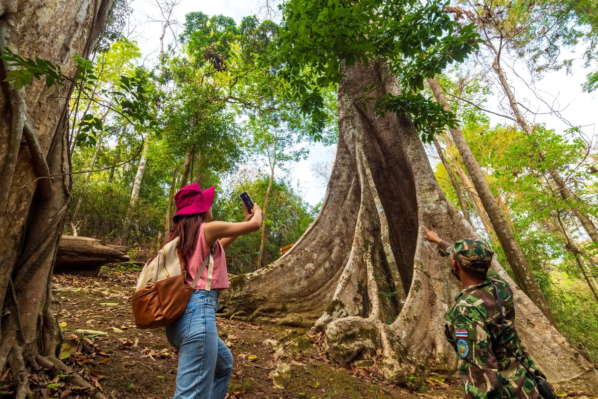 Mae Yom National Park — photo 4