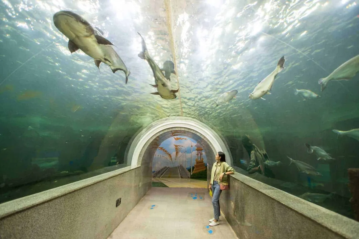 Mekong Underwater World