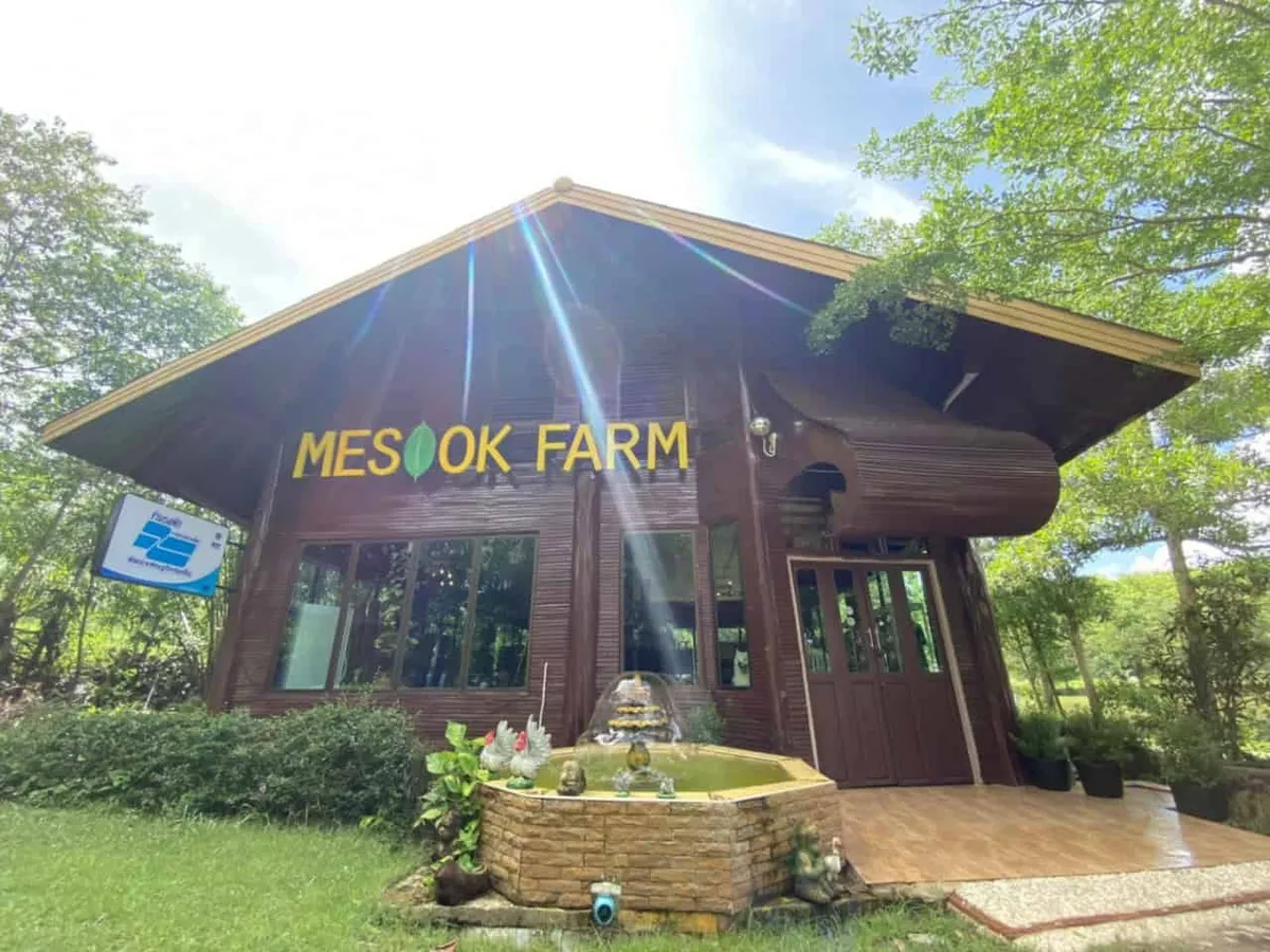 Mesook Farm (Agarwood Farmer Group)