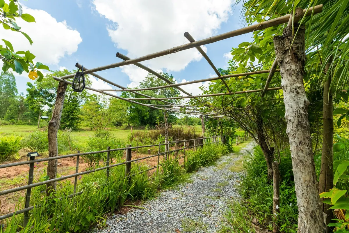 Mikin Farm — photo 3