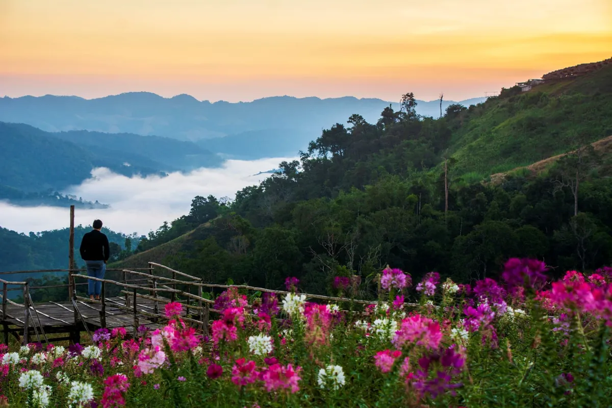 Mon Mok Tawan (Sea of Mist at Ban Pa Wai) — photo 2