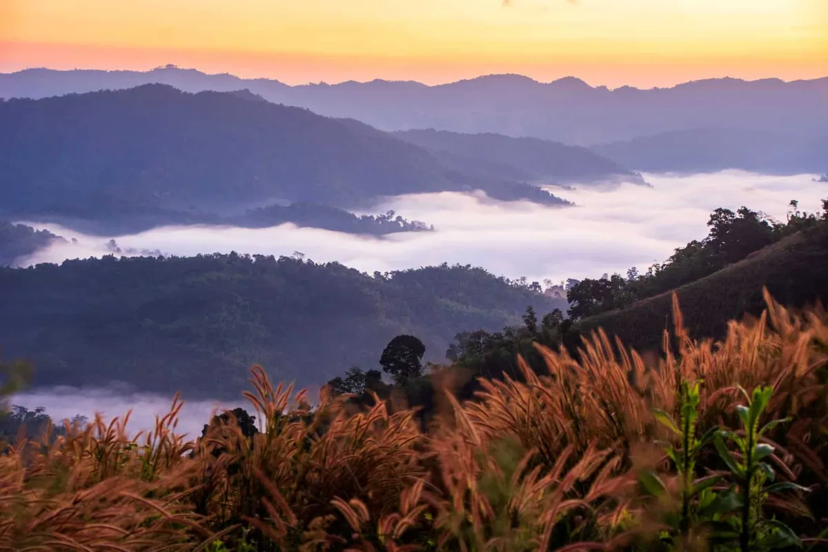 Mon Mok Tawan (Sea of Mist at Ban Pa Wai)
