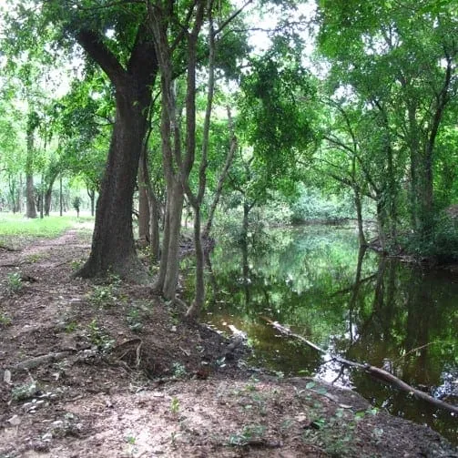 Mueang Kao Kamphaeng Saen