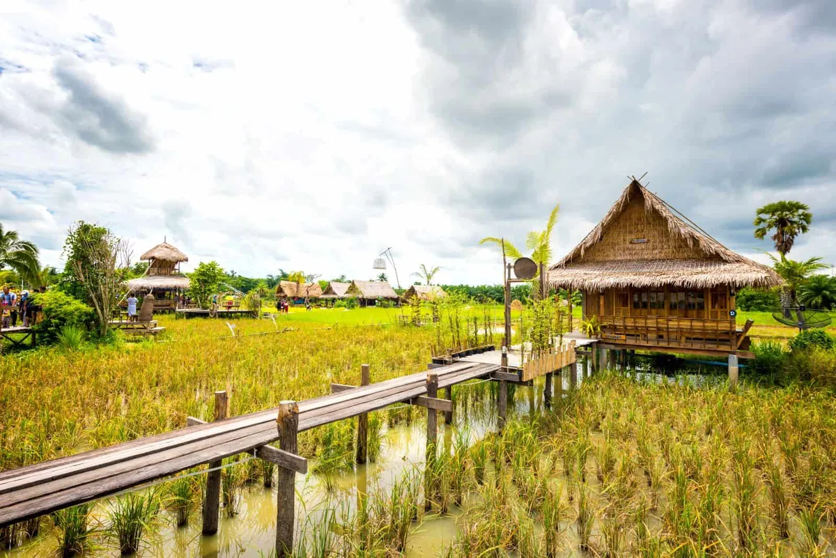 Na Po Kae Local Study