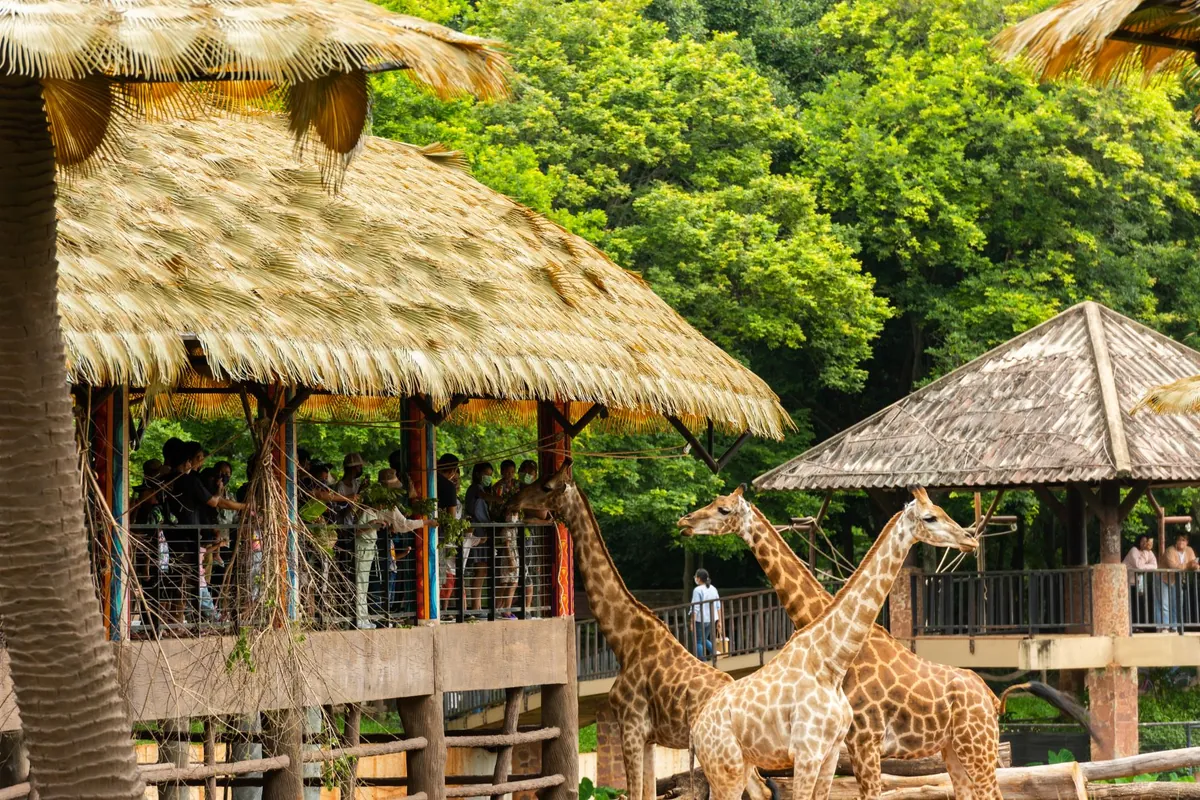 Nakhon Ratchasima Zoo