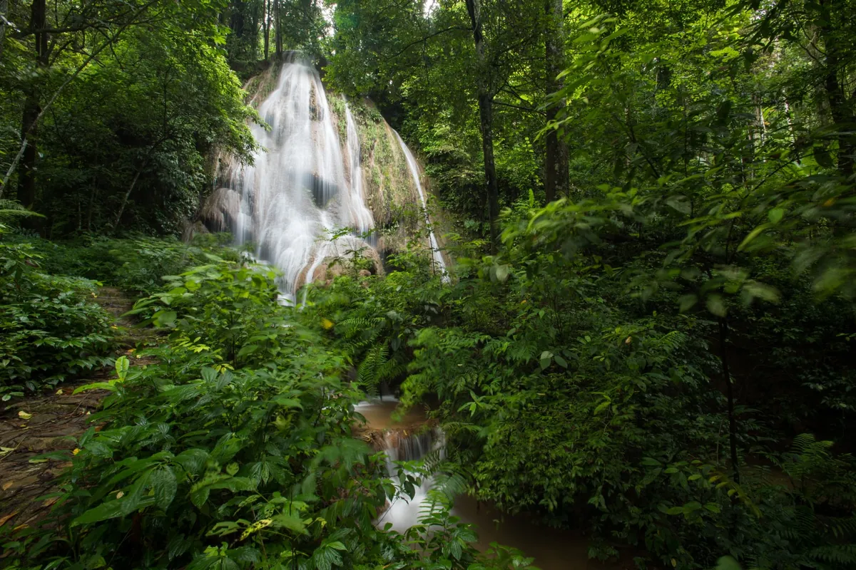 Namtok Nammin Forest Park — photo 2