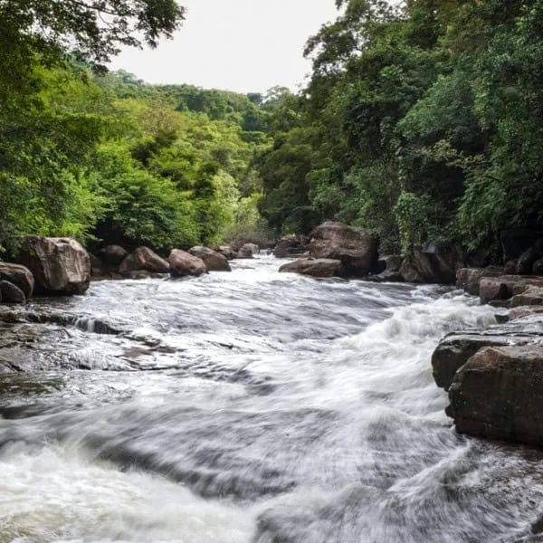 Namtok Than Thip Forest Park