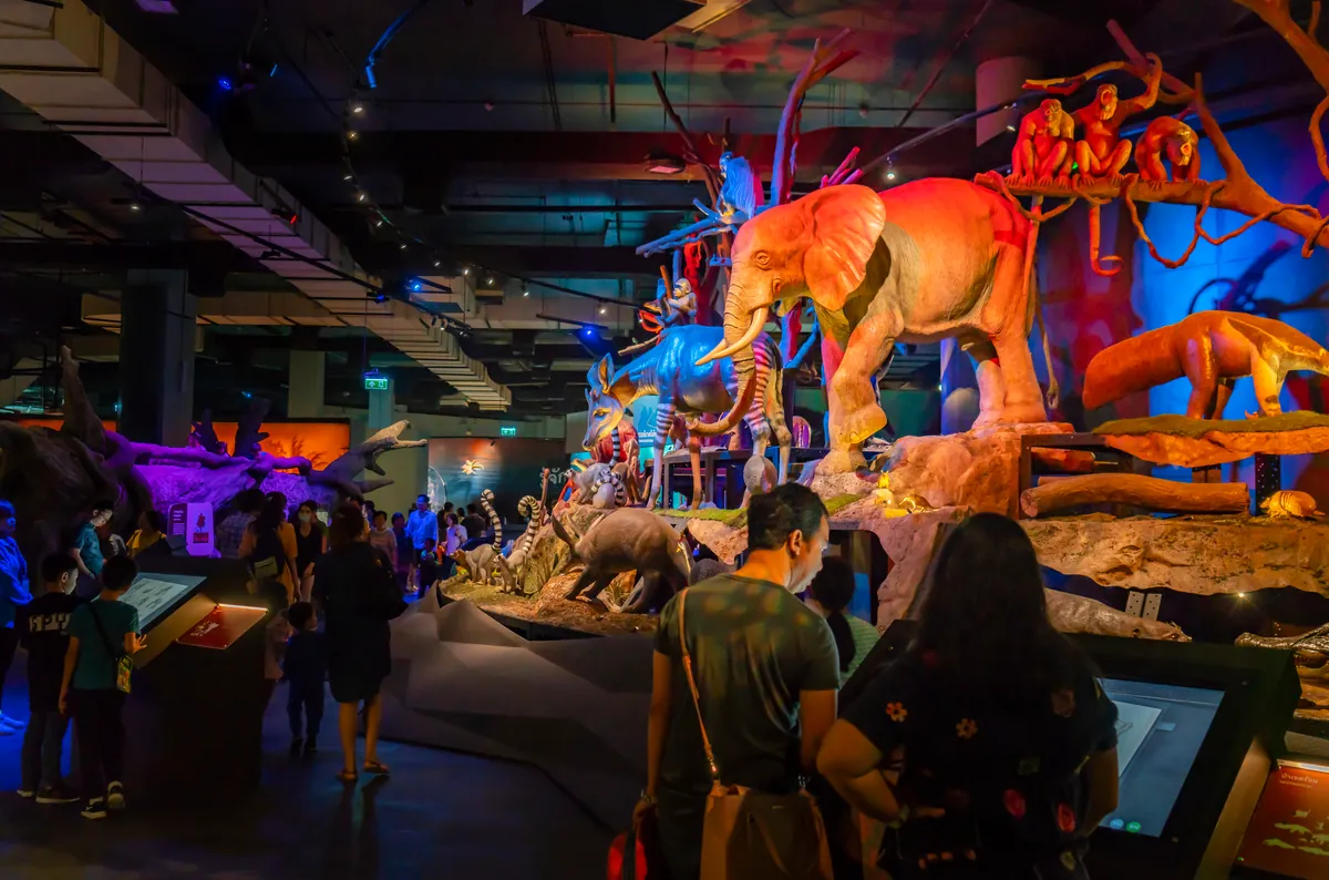 National Science Museum — photo 3