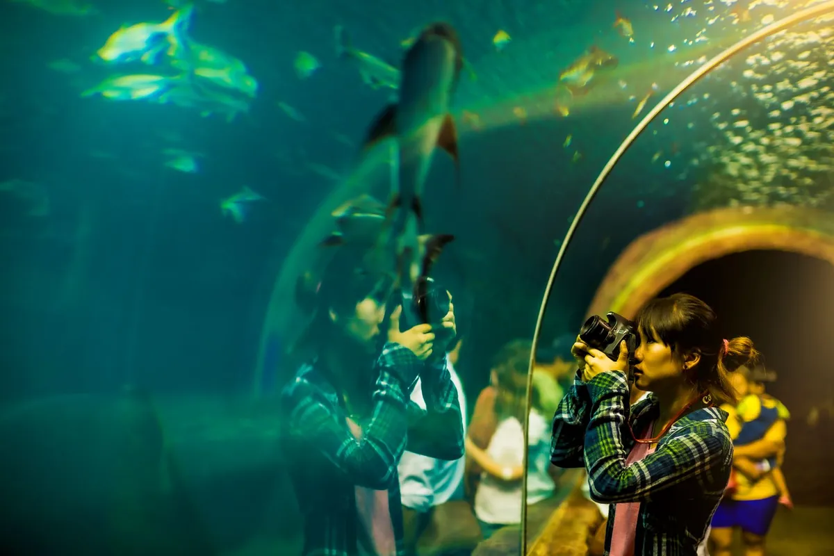 Nong Khai Aquarium