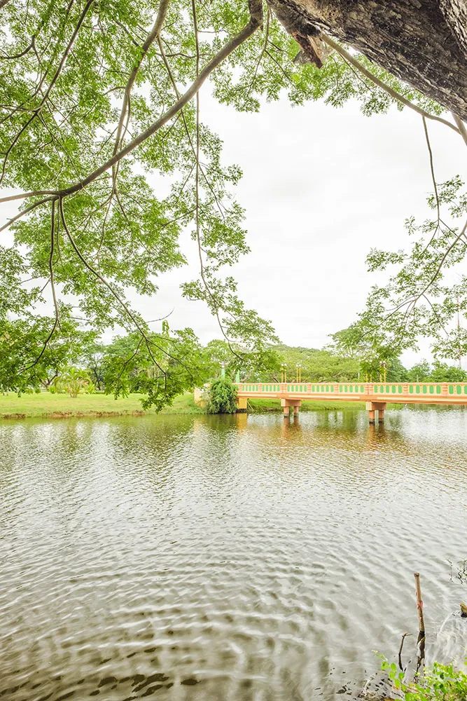 Nong Kra Ting Park — photo 2