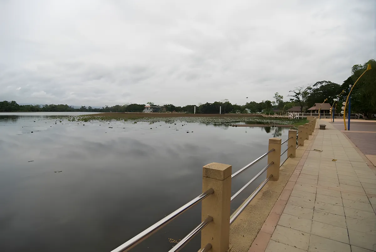 Nong Nari Arboretum