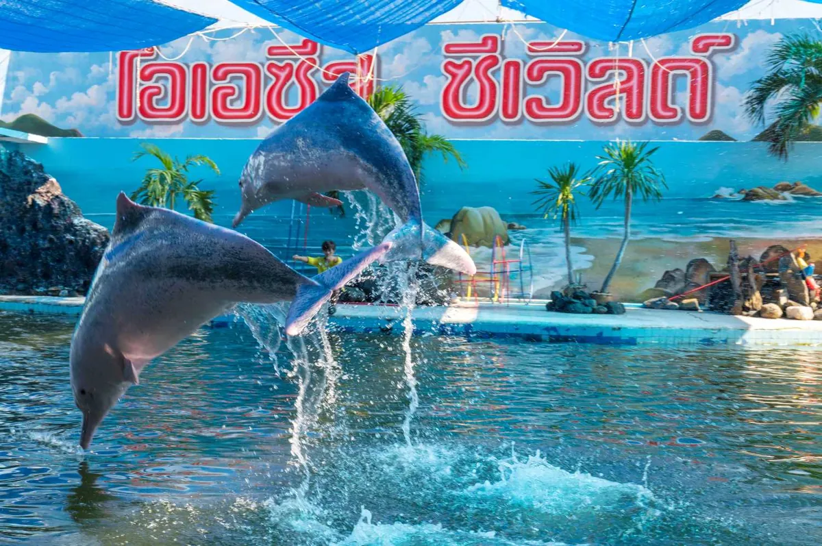Oasis Sea World — photo 3