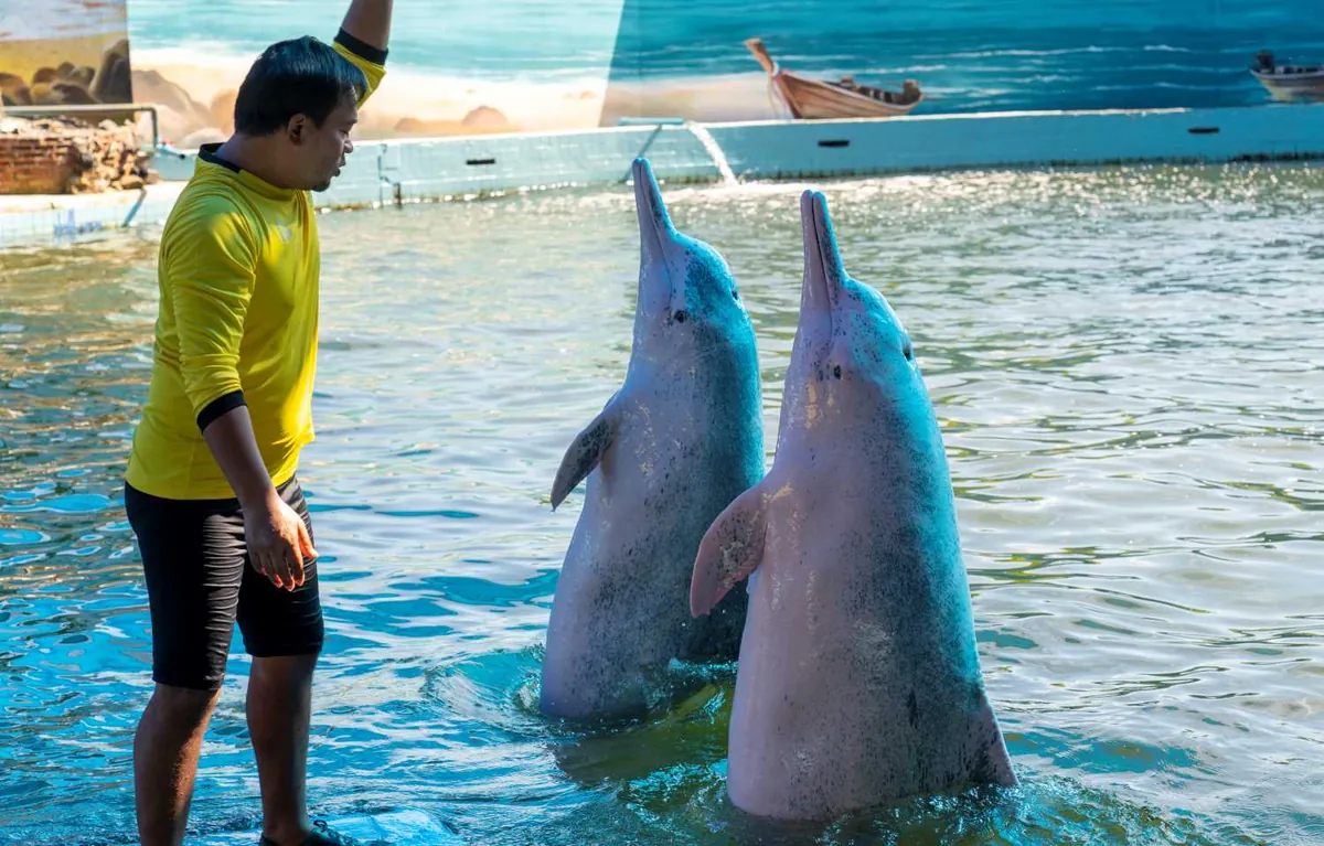 Oasis Sea World — photo 2