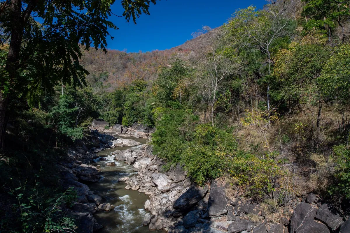 Ob Luang National Park — photo 2