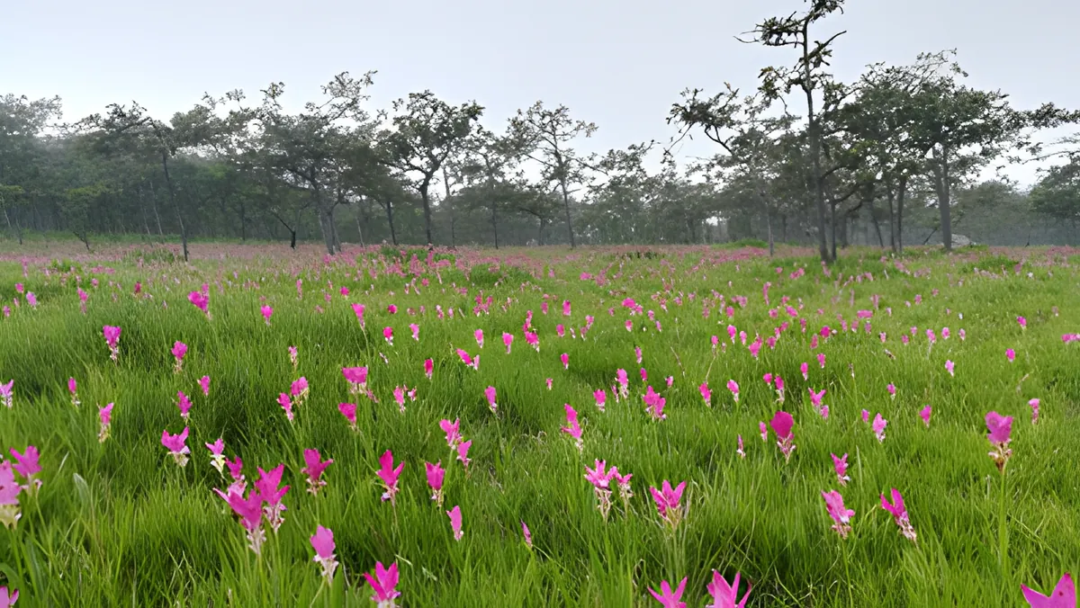 Pa Hin Ngam National Park