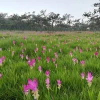 Pa Hin Ngam National Park